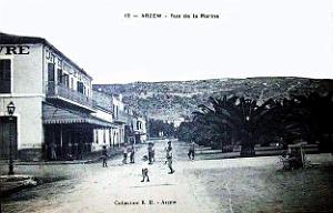 Arzew 267